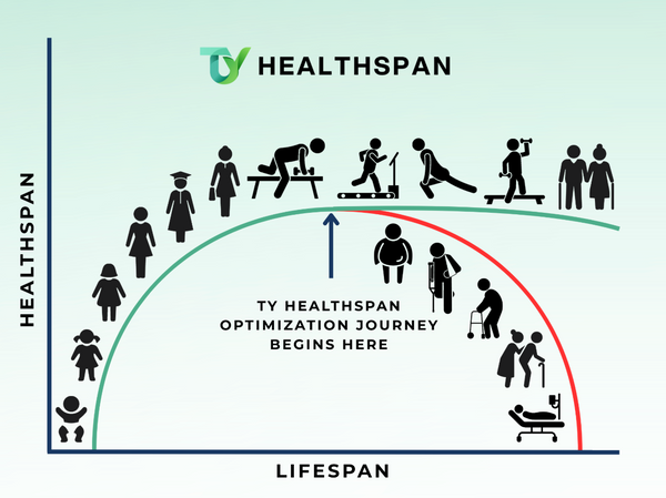 Diagram showing the 'TY Healthspan Optimization Journey' with healthspan and lifespan axes and various stages of life.